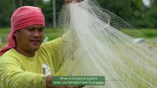 The Long-Term Continuous Cropping Experiment Ltcce Legacy A World Record With Its 183Rd Crop