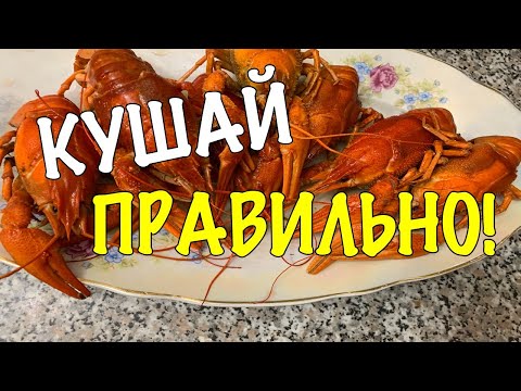КАК ПРАВИЛЬНО ЕСТЬ ВАРЕНЫХ РАКОВ