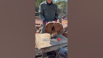 This log splitter uses a powerful screw cone mechanism for fast and effortless wood splitting.