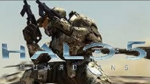 Should Dual Wielding Return? - Halo 5