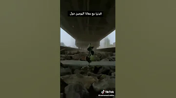 نازله طحن يا دنيا فينا 