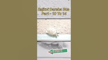 રાજકોટ દર્શન બસ ભાગ 10 || Rajkot Darshan Bus || #shorts #rajkotdarshanbus #shortvideo