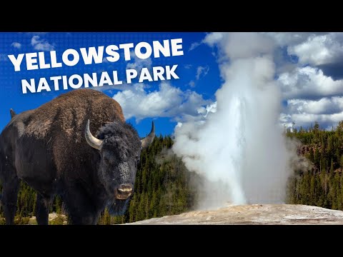 EXPLORE Old Faithful