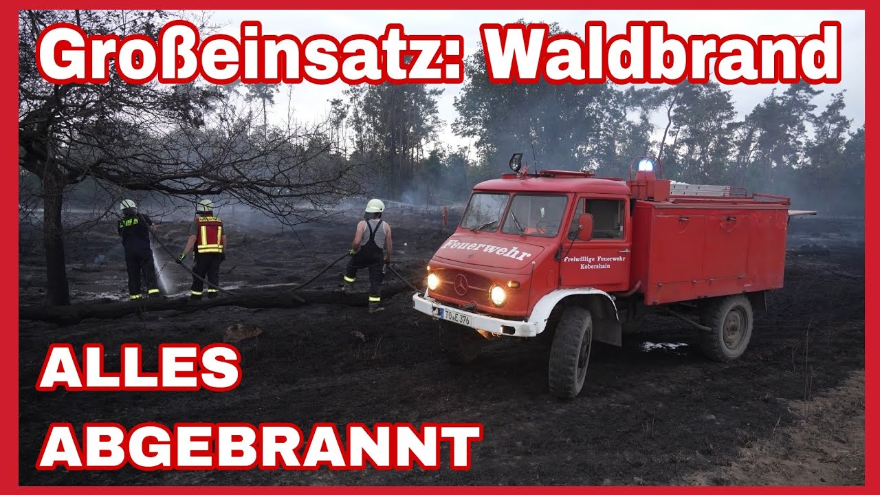 ⚠️WALDBRAND im Landkreis Leipzig an der Grenze zu Nordsachsen🆘️🚒Rund 20 Hektar abgebrannt🔥FEUER🔥