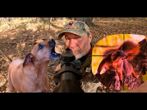 It's a Tack Driver, Squirrel Hunt, Umarex