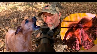 Its a Tack Driver, Squirrel Hunt, Umarex