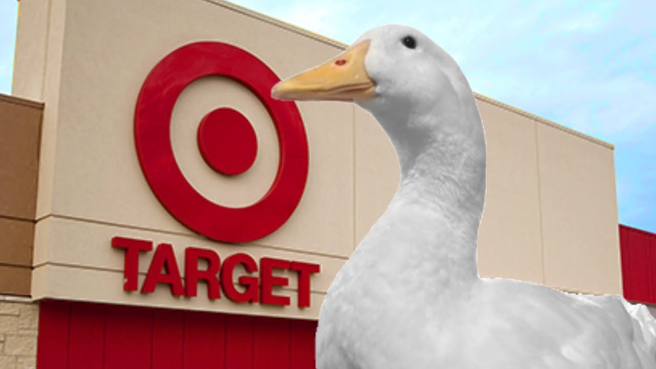 POV: I take my duck to Target