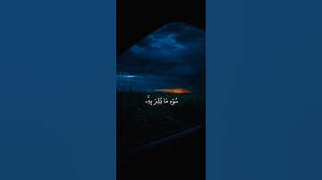 تلاوة هادئة ومريحة جدا ❤️🤍