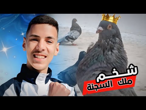 ما يمكنش اشنو دار شخم فسجنة الروينة والبلبالة