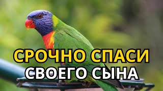видео: ☝Повторите эту молитву и ваш СЫН будет под защитой! Лучшие молитвы, слушать минимум один раз в день! картинка: ☝Повторите эту молитву и ваш СЫН будет под защитой! Лучшие молитвы, слушать минимум один раз в день!