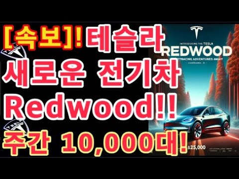 [속보] 테슬라 새로운 전기차 Redwood!!(코드명) 주간 10,000대! / 중국 상하이 메가팩토리 매우 빠른 성장 예고 / 테슬라 투자 / Tesla 주가