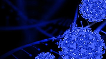 1st Cancer Genomics Conference 2025 Day 3