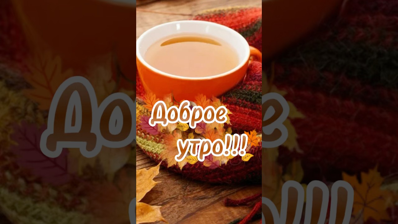 Доброе утро!!!☀️ #доброеутро #цитаты