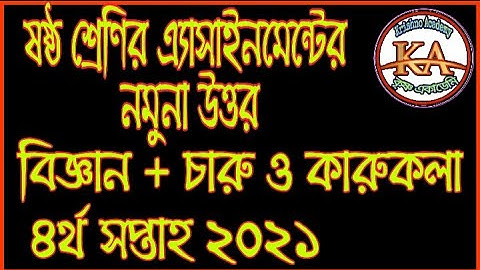 Class 6 Science and Charu O Karukola Assignment Solution 4th Week 2021 | বিজ্ঞান এবং চারু ও কারুকলা