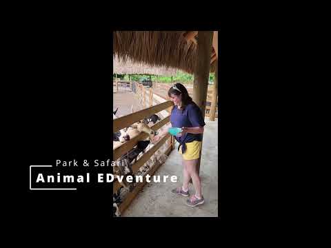 Miami sept 2023 Flying from BNA to MIA then a stop at Animal EDventure