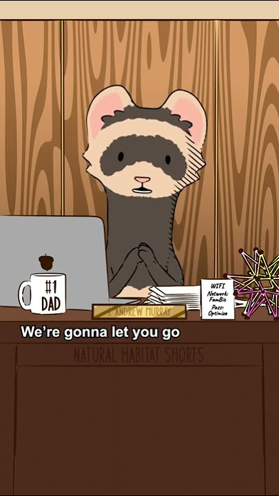 A group of ferrets is called a business.