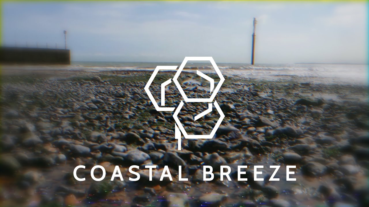 WIZZOKAMI - Coastal Breeze [Tropical House]