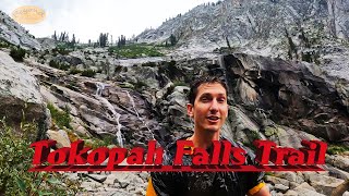 Tokopah Falls Trail #sequoianationalpark