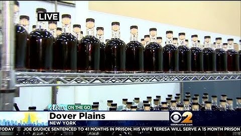 On The Go With Alex Denis: Making Maple Syrup Part 1