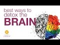 Best Ways to Detox the Brain | John Douillard's LifeSpa