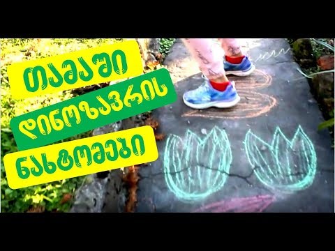 თამაში \"დინოზავრის ნახტომები\"