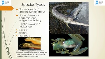AP Environmental Science Biodiversity Video Part 2