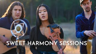 Broken Compass Bluegrass | Fairies and Lighting | Sweet Harmony Sessions Resimi