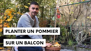 Un arbre fruitier en pot c'est possible ?