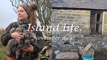 House restoration update | Island days | Orkney island life story 16