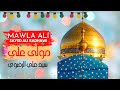 Sayed ali radhawi  mawla ali 2021          imam ali nasheed   