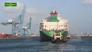 Ethiopian shipping & logistics