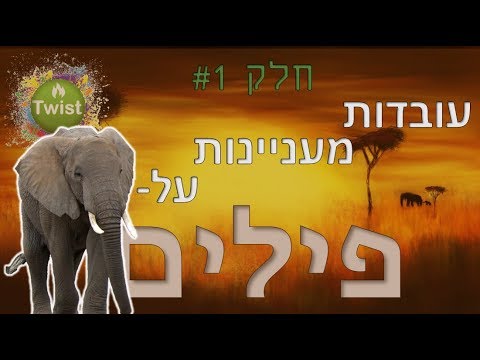 עובדות מעניינות שלא ידעתם על פילים - חלק 1 | Twist ידע 🧐 2 #