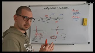 картинка: Физиологија на клеточна мембрана - активен и трансепителијален транспорт [медицинска физиологија]