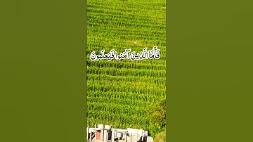 سورة البقره القارئ محمد الفقيه #قران_كريم #محمدنبينا #ارح_قلبك #القران