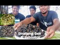 ginataang gabi na may bagongon  (Backyard Cooking)