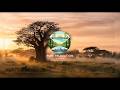 Stress Gone with African Ambience Baobab Journey | The Living Canopy (Ancient Horizons🎵)