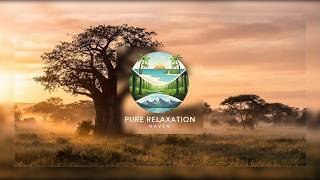 African Ambience Baobab Journey for Stress Relief | The Living Canopy (Ancient Horizons🎵) screenshot 3