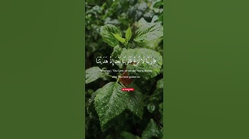 ربنا لا تزغ قلوبنا بعد إذ هديتنا | تلاوة خاشعة قصيرة | سورة آل عمران آية 8 | بدر التركي🌿