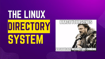 4. The Linux File System (/BIN, /BOOT, /DEV, /ETC)- Devops Fundamentals