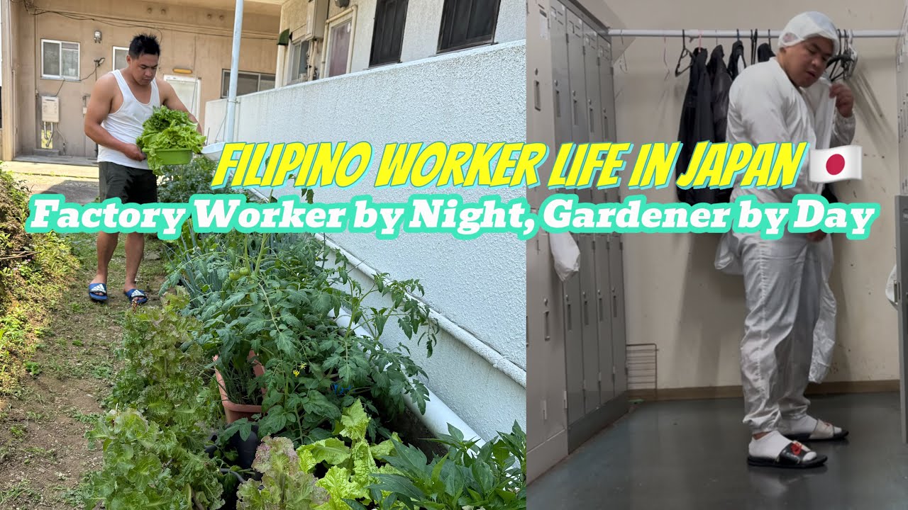 Factory worker by night,Gardener by Day/cooking Filipino food/gardening/factory worker in Japan 🇯🇵