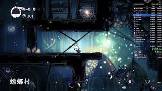 Any% VS Route 31:28