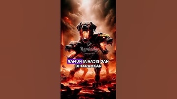 INILAH ALASAN ANJING NAJIS, BERKAITAN DENGAN IBLIS #kisahislami #kisahnabi #kisahulamatv