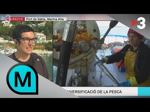El paper invisible de la dona al món mariner - Els Matins