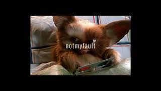 (FREE) Lil Uzi Type Beat not my fault / Instrumental 2024