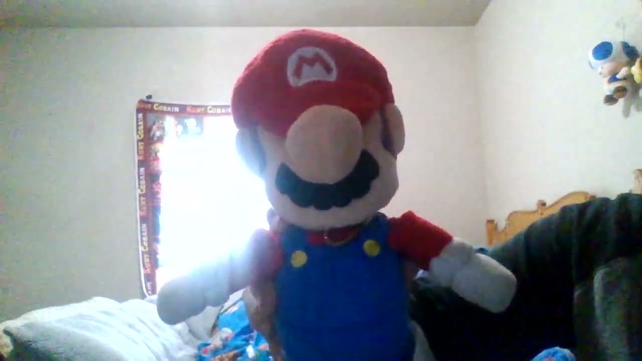 Search Party; Operation L (prologue)