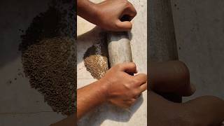 SPECIAL FISH FOOD FOR 2X GROWTH 📈#fish #trending #aquarium #shorts