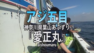 愛正丸・神奈川県葉山あぶずり港「高級魚交じりで！アジ五目釣り」