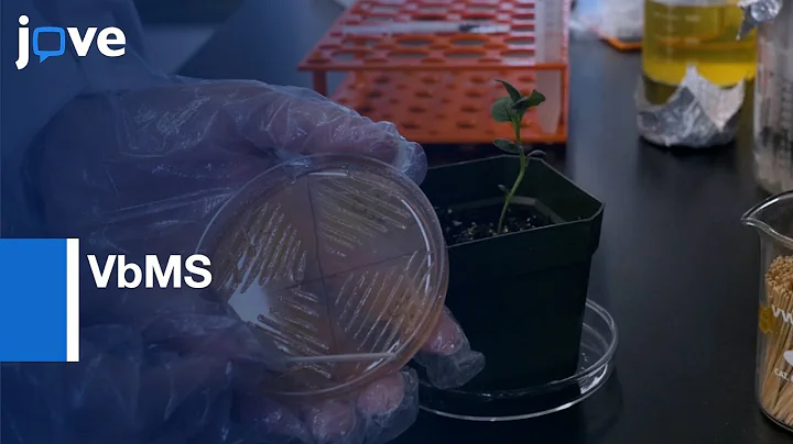 Virus X-Based microRNA Silencing (VbMS) In Potato | Protocol Preview