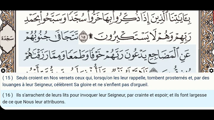32 - Sourate As Sajdah - Mohamed Ayoub - Récitation du Coran, texte arabe, traduction en Français