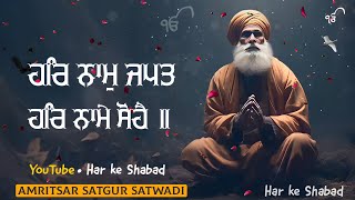 Amritsar Satgur Satwadi | full shabad | aye mil gursikh | bhai dalbir singh ji